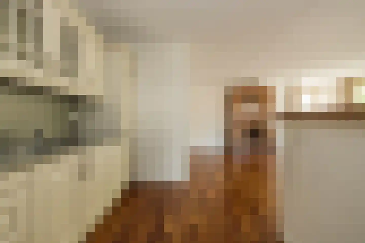 Dekkersgaard 6 Warmond thumbnail 26