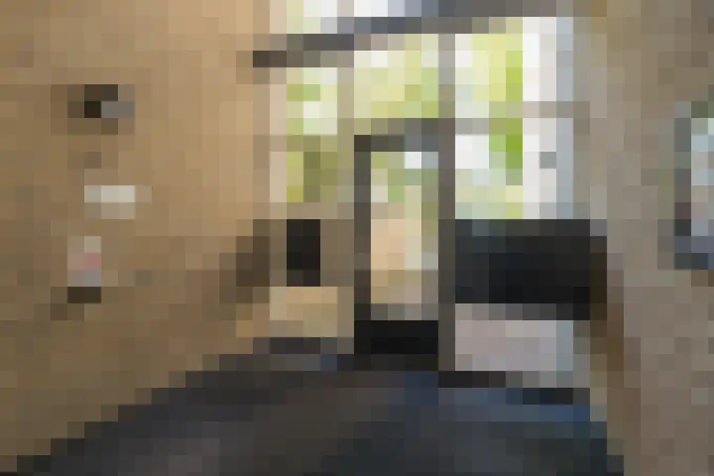Dekkersgaard 6 Warmond thumbnail 37