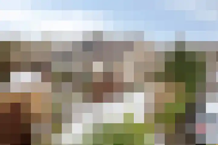 Dekkershof 1 Gorssel thumbnail 18