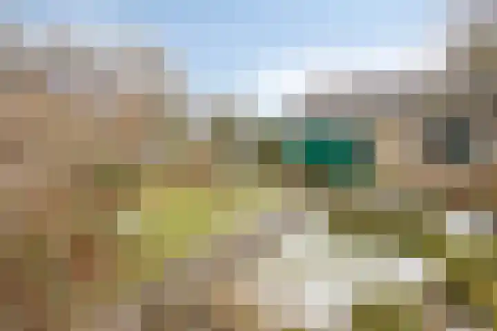 Dekkershof 1 Gorssel thumbnail 19
