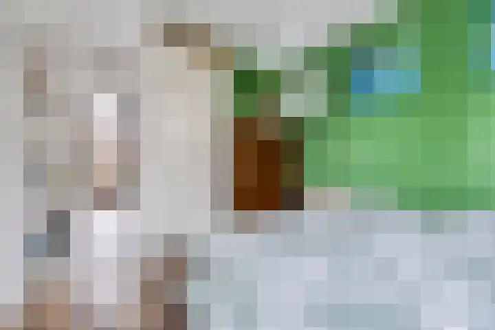 Dekkershof 1 Gorssel thumbnail 9