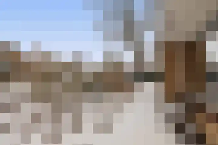 Dekkershof 10 Gorssel thumbnail 27