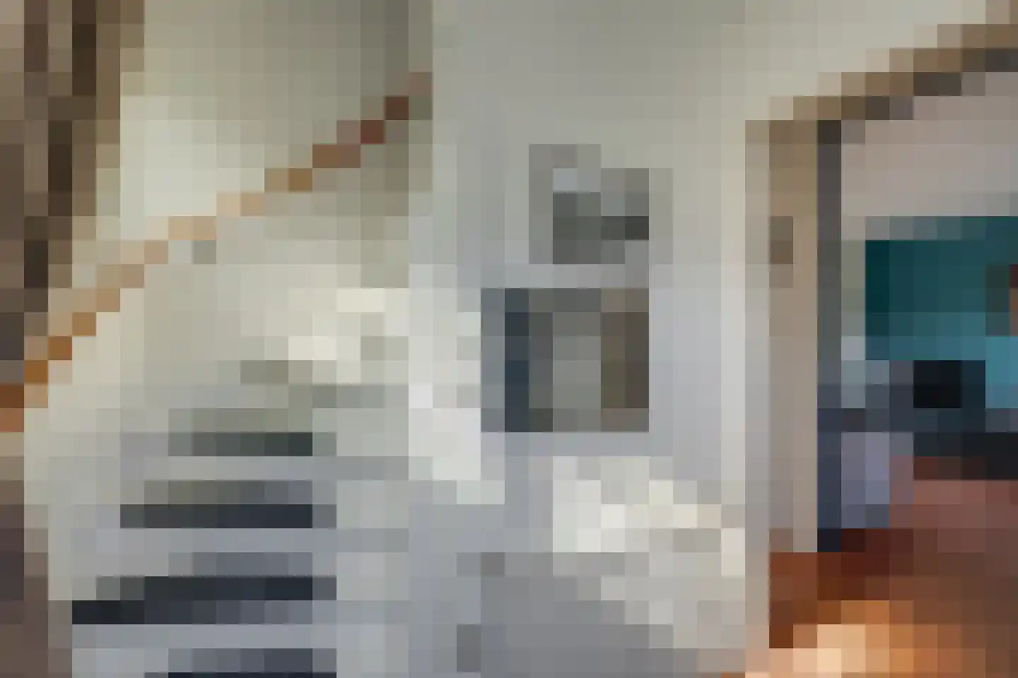 Dekkershof 11 Gorssel thumbnail 11