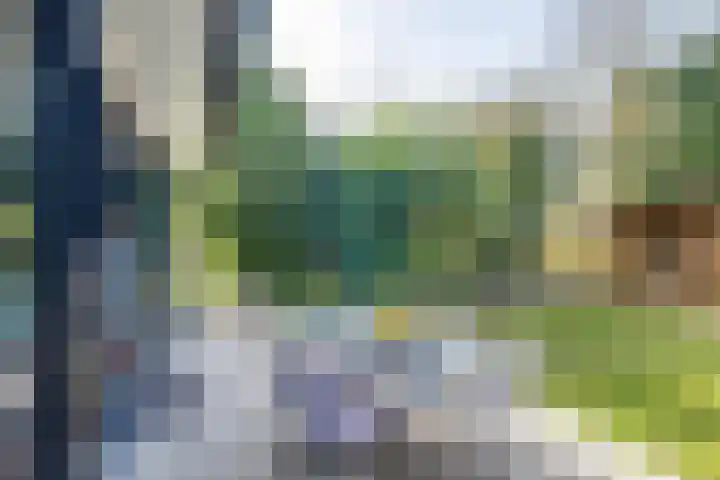 Dekkershof 11 Gorssel thumbnail 15