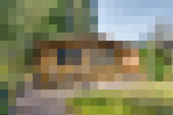 Dekkershof 11 Gorssel thumbnail 18
