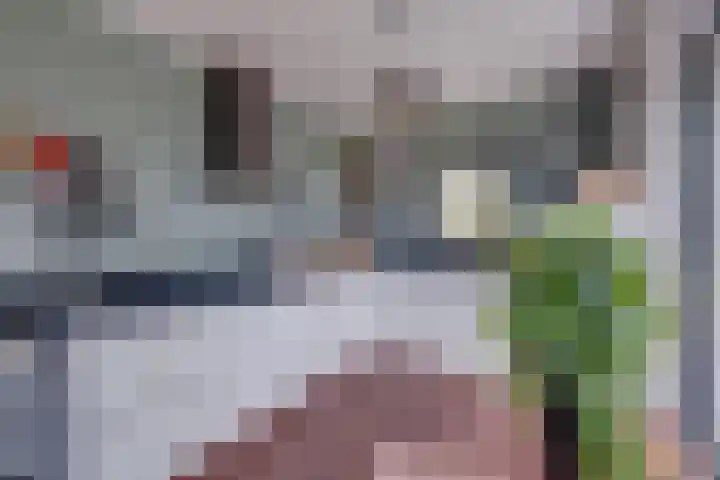 Dekkershof 11 Gorssel thumbnail 6