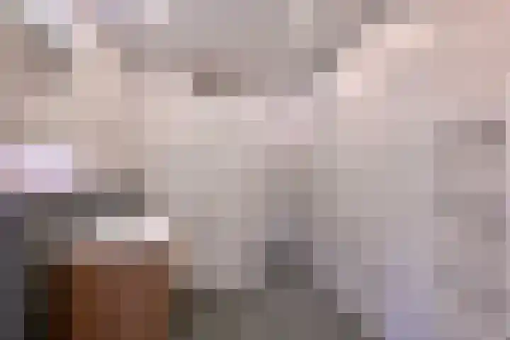 Dekkershof 9 Gorssel thumbnail 19
