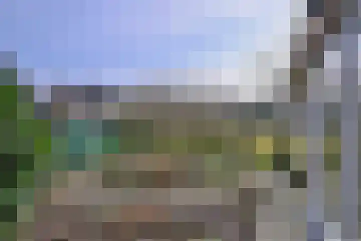 Dekkershof 9 Gorssel thumbnail 29