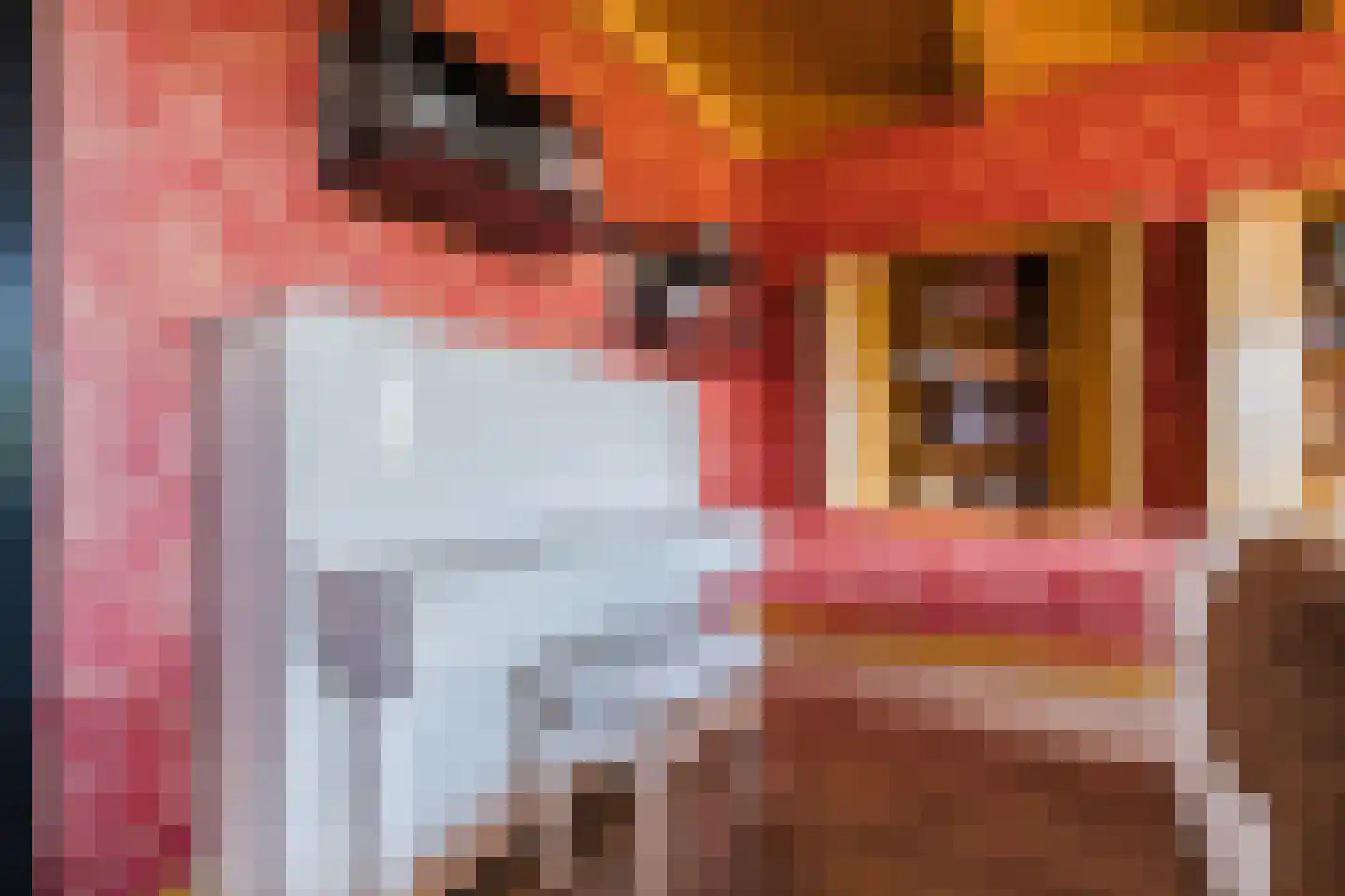 Dekkersland 3 Rouveen thumbnail 11
