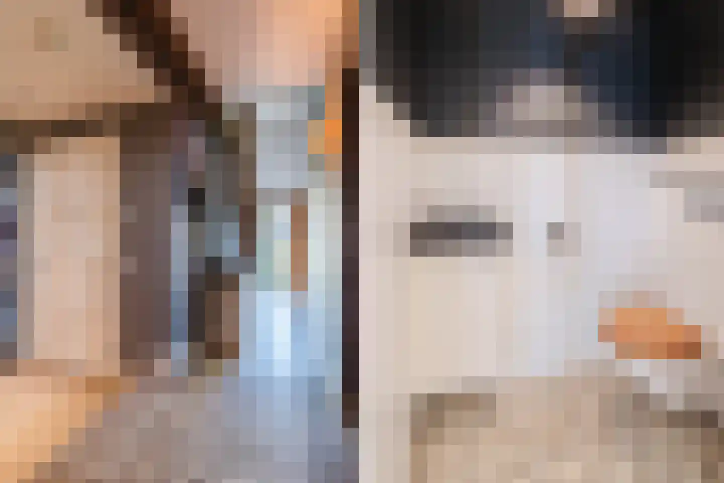 Dekkersland 3 Rouveen thumbnail 14