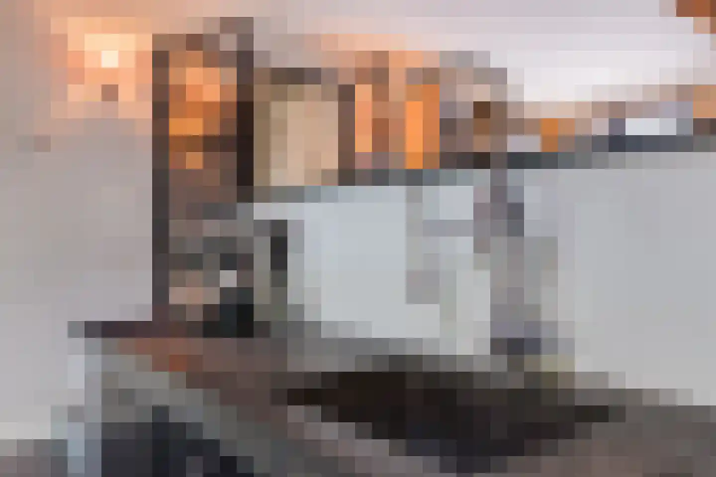 Dekkersland 3 Rouveen thumbnail 17