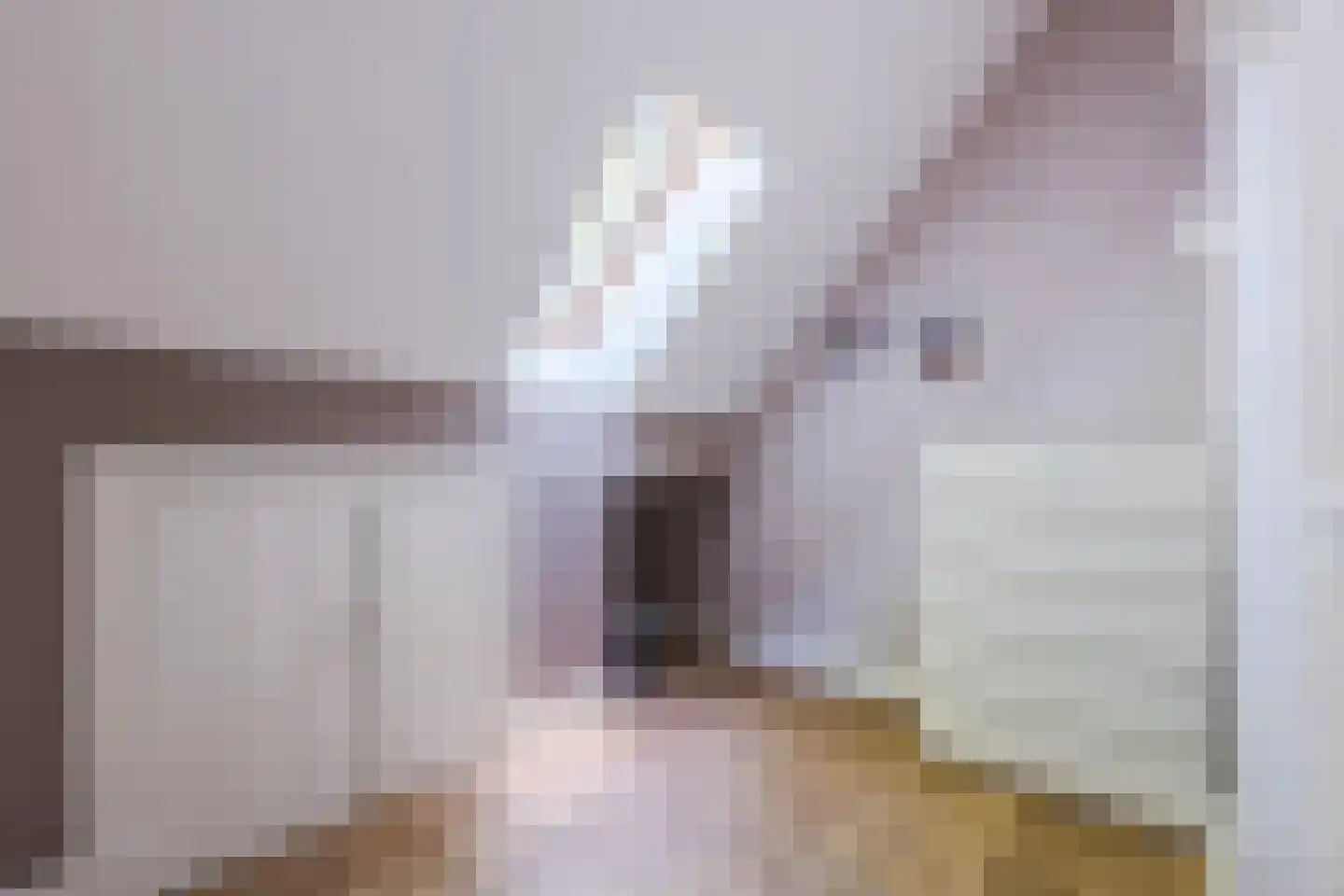 Dekkersland 3 Rouveen thumbnail 33
