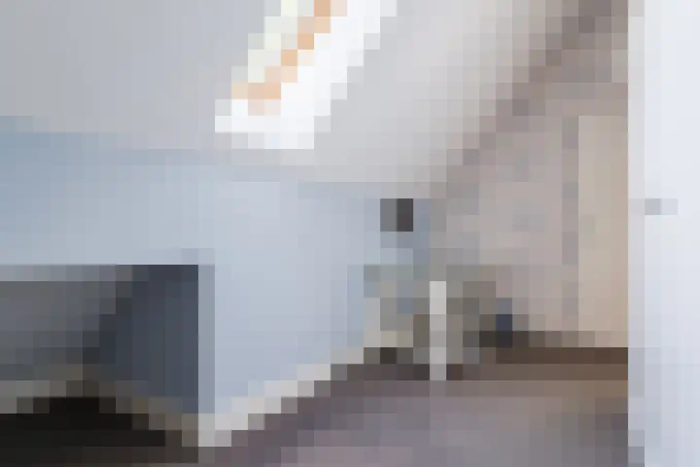 Dekkersland 3 Rouveen thumbnail 37
