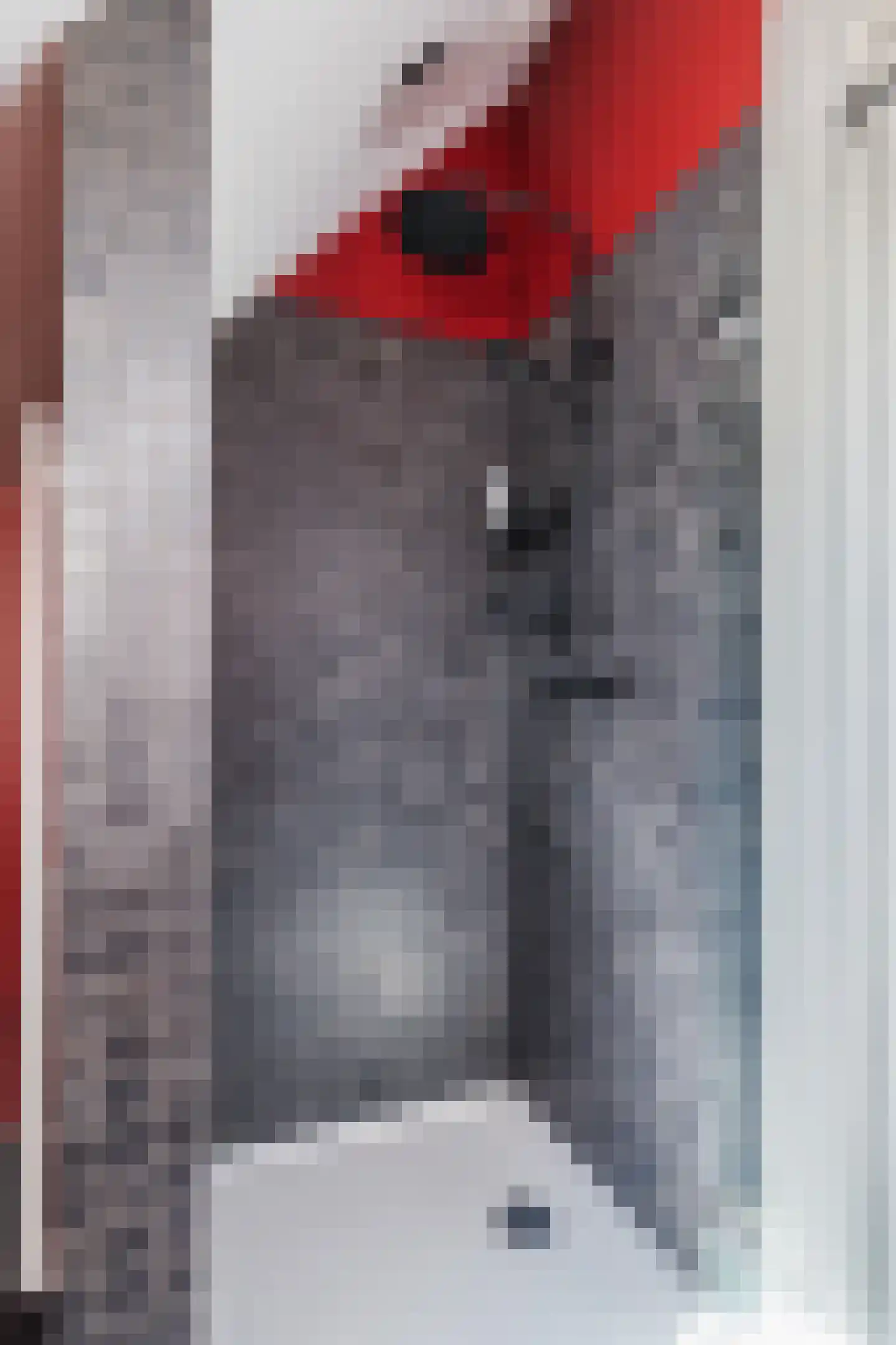 Dekkersland 3 Rouveen thumbnail 39