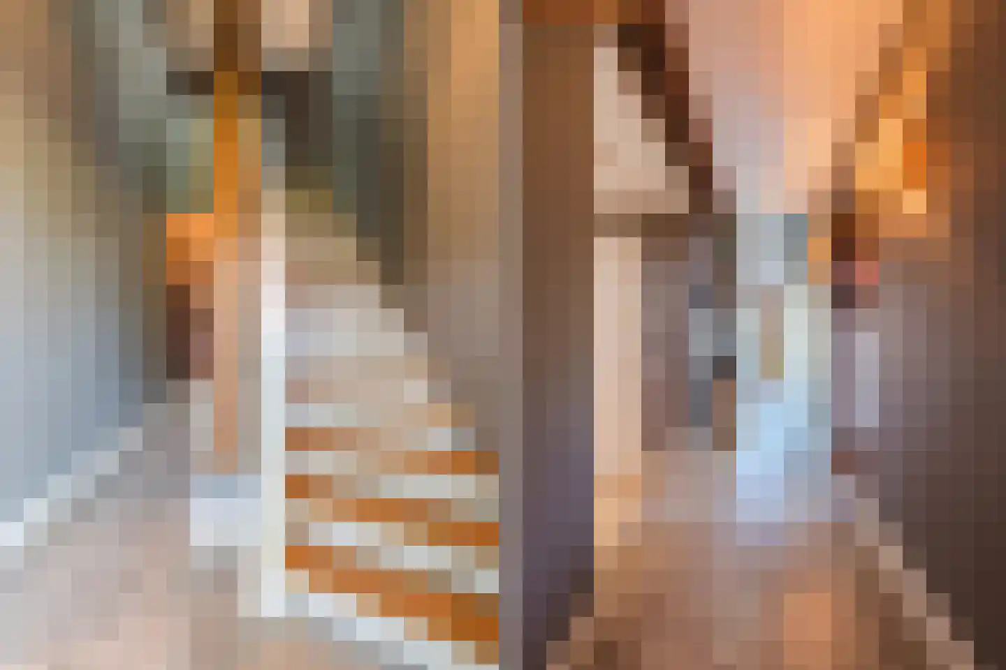 Dekkersland 3 Rouveen thumbnail 4