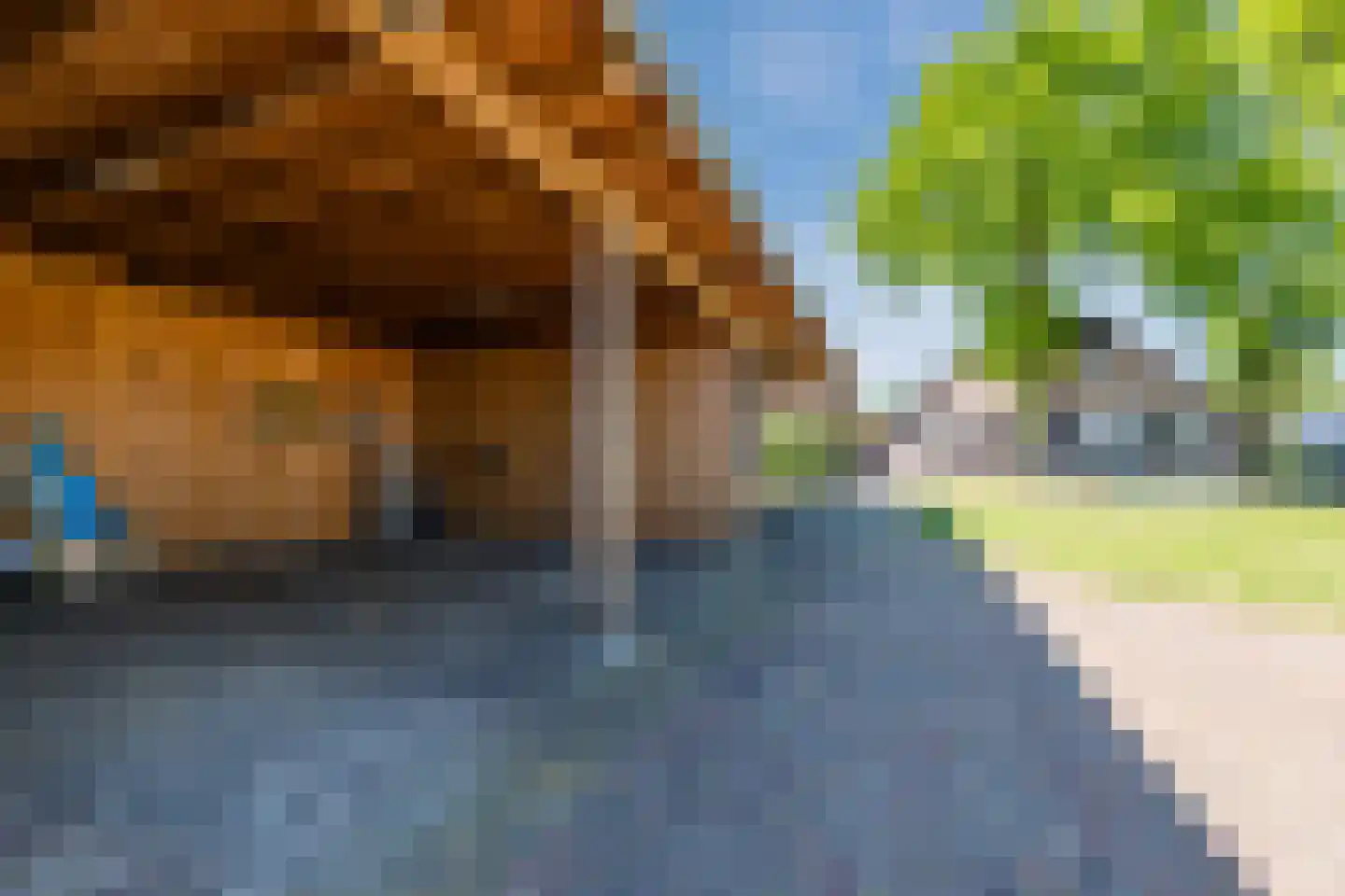 Dekkersland 3 Rouveen thumbnail 46