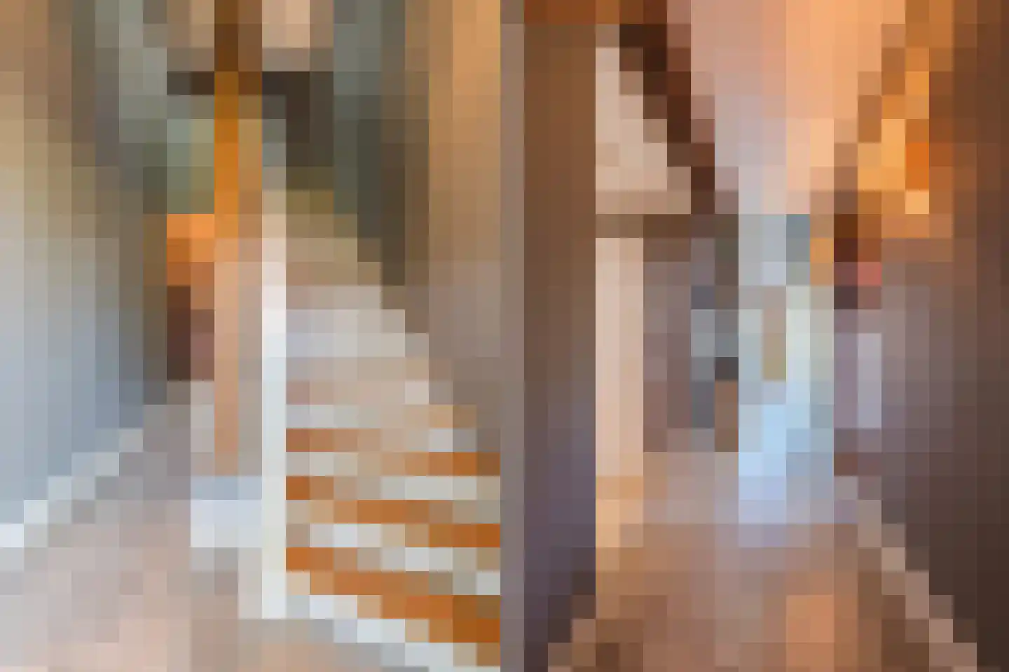Dekkersland 3 Rouveen thumbnail 5