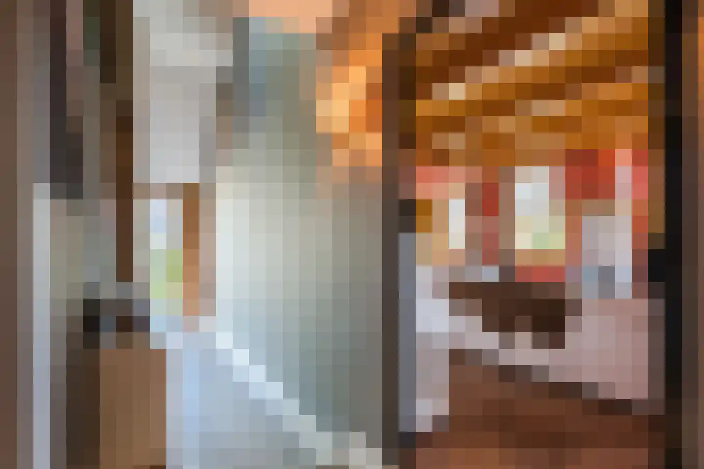 Dekkersland 3 Rouveen thumbnail 5