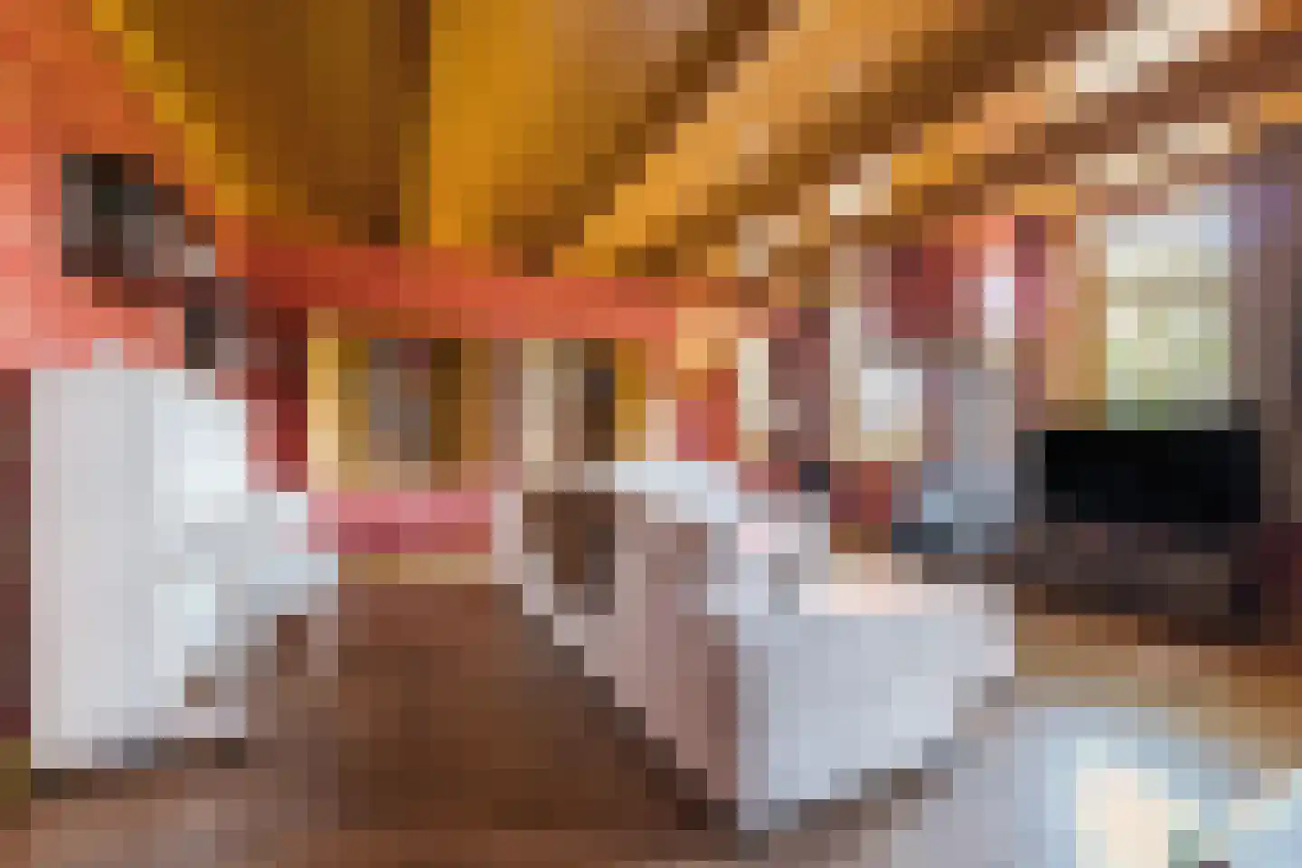Dekkersland 3 Rouveen thumbnail 6