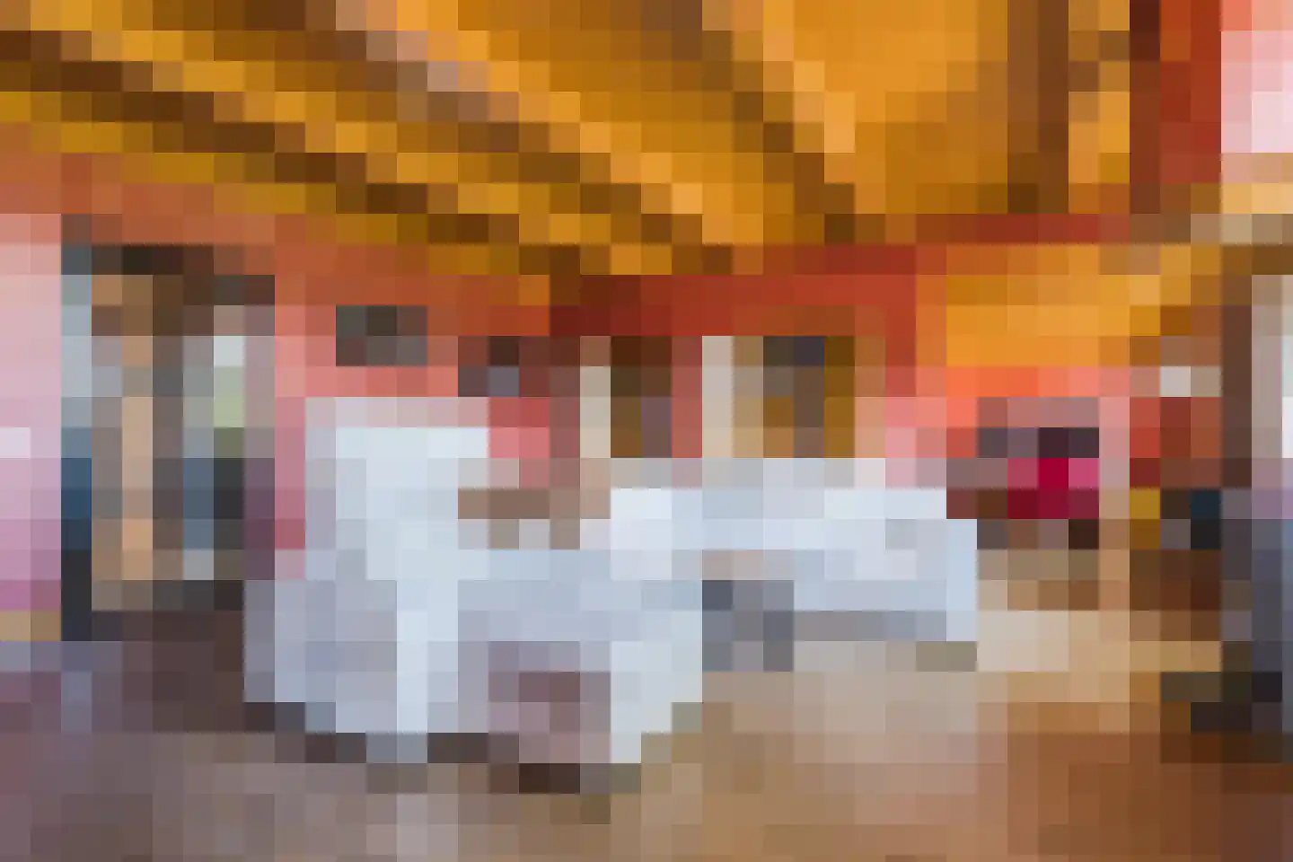 Dekkersland 3 Rouveen thumbnail 7