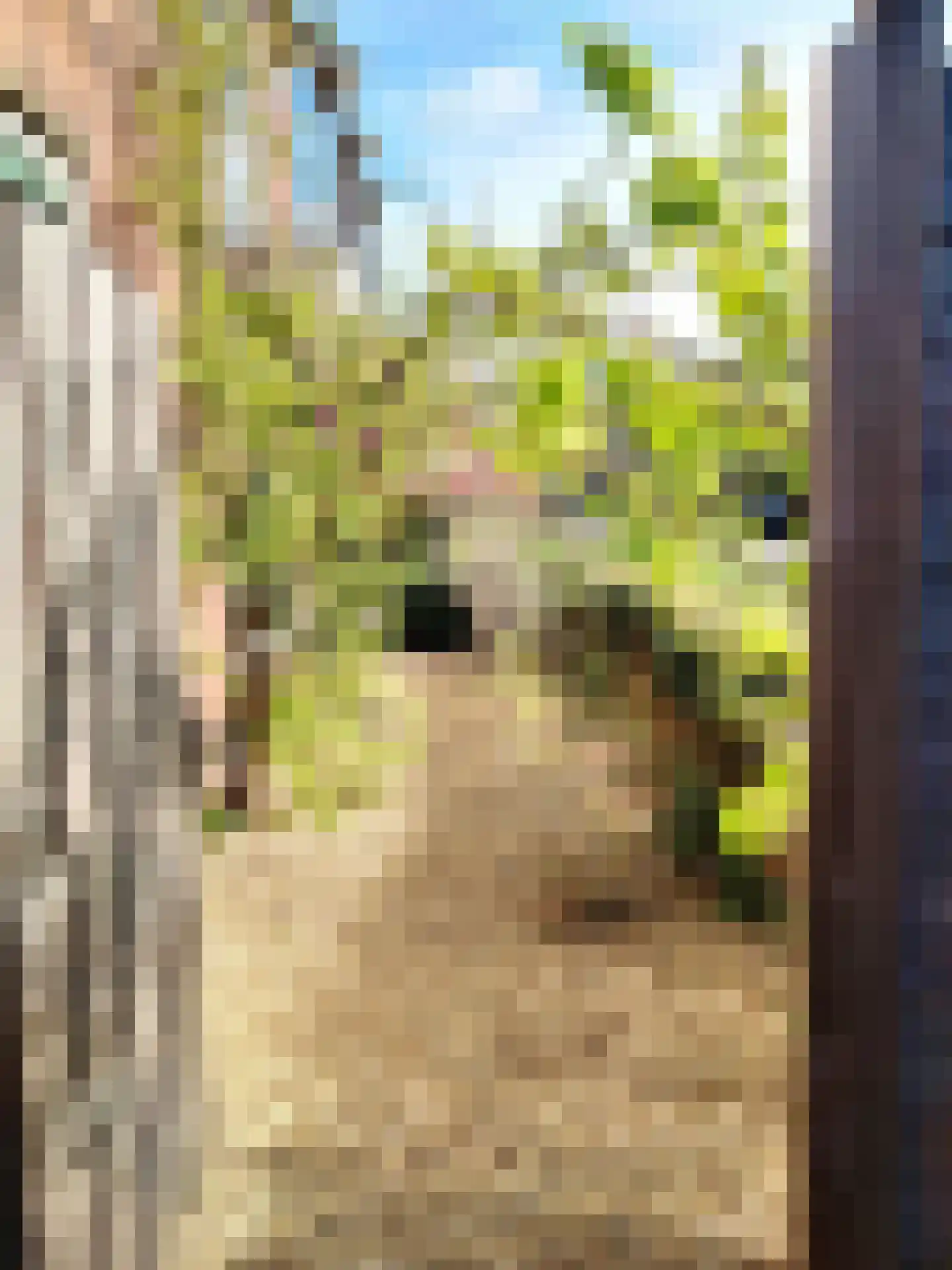 Dekkerstraat 2 Beverwijk thumbnail 34