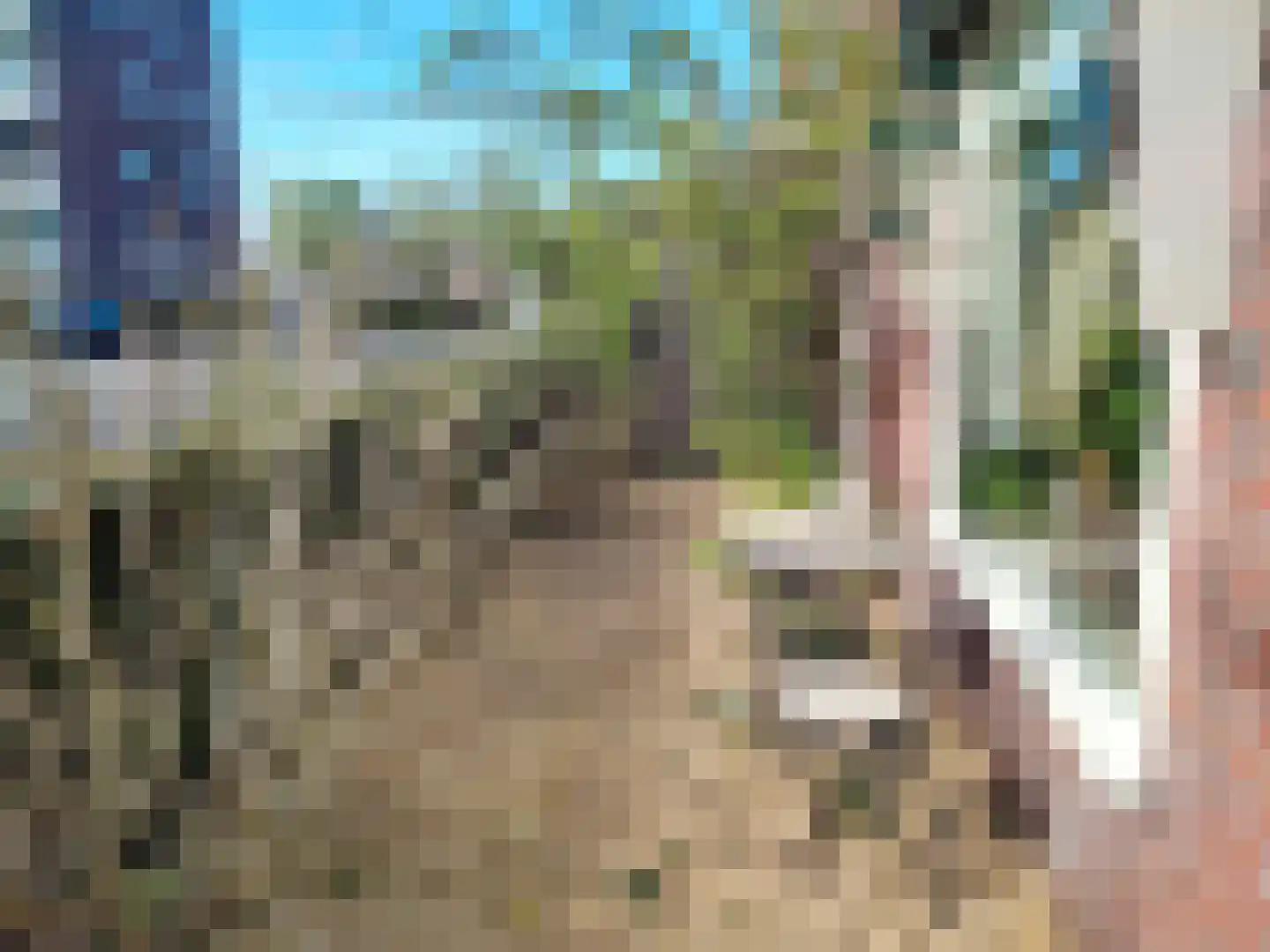 Dekkerstraat 2 Beverwijk thumbnail 35