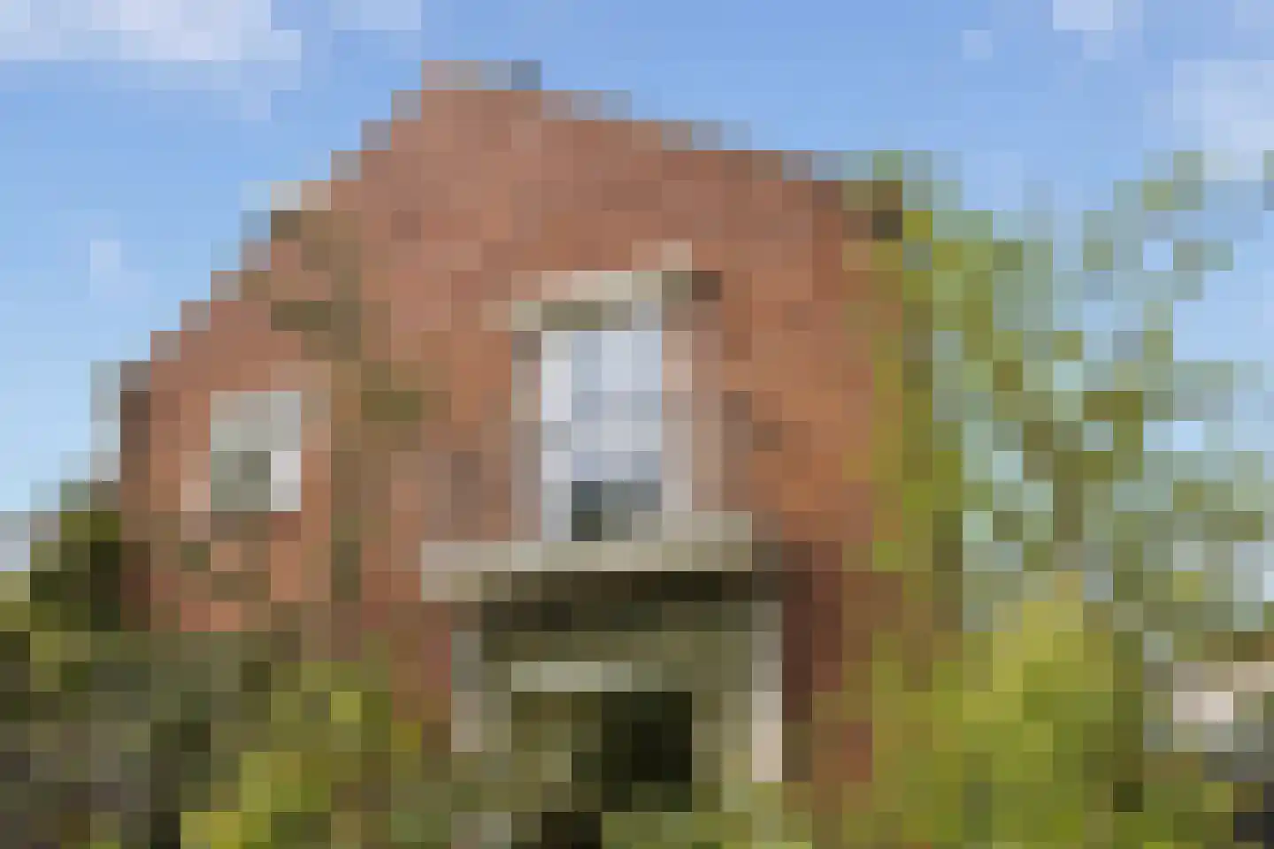 Dekkerstraat 2 Beverwijk thumbnail 49