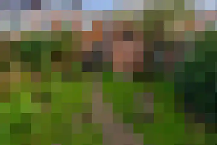Dekkerstraat 28 Beverwijk thumbnail 25