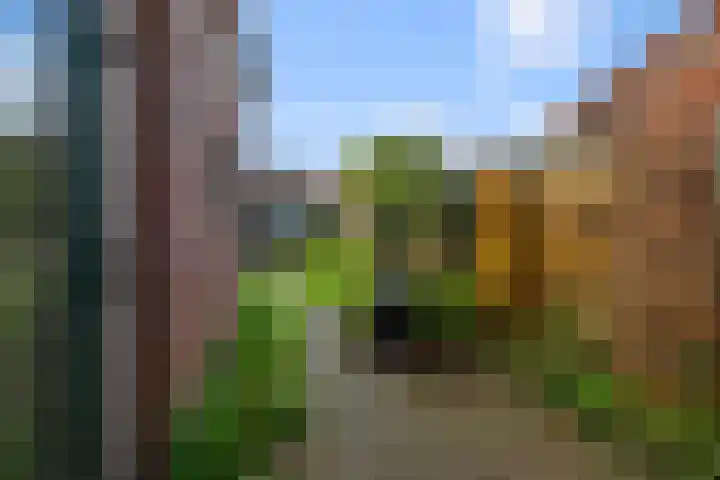Dekkerstraat 28 Beverwijk thumbnail 26