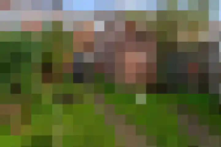 Dekkerstraat 28 Beverwijk thumbnail 27