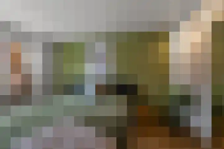 Dekkerstraat 28 Beverwijk thumbnail 38