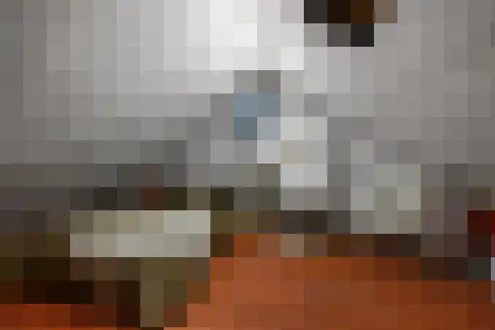 Dekkerstraat 28 Beverwijk thumbnail 45