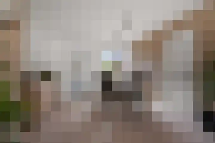 Dekkerstraat 28 Beverwijk thumbnail 9