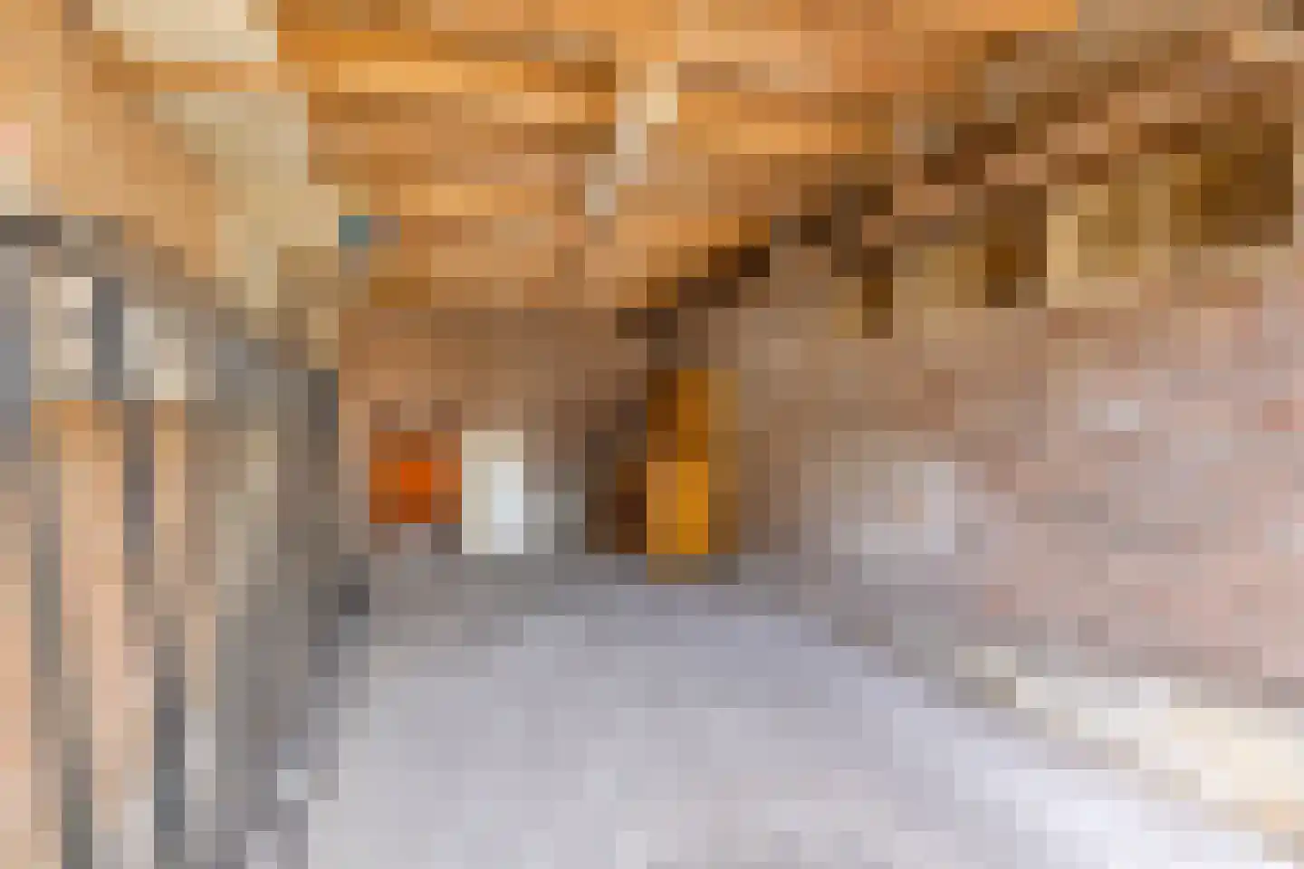 Dekkerstraat 42 Beverwijk thumbnail 35