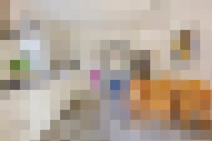 Dekkerstraat 5 Son en Breugel thumbnail 10