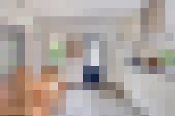 Dekkerstraat 5 Son en Breugel thumbnail 12