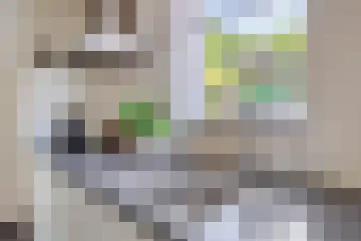 Dekkerstraat 5 Son en Breugel thumbnail 13