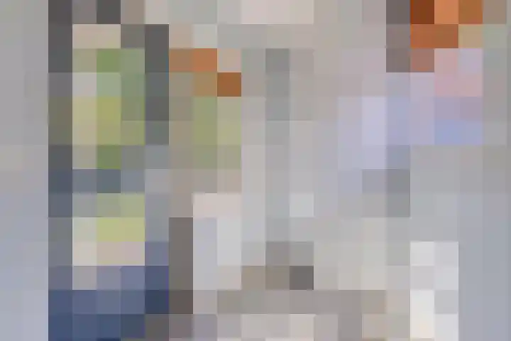 Dekkerstraat 5 Son en Breugel thumbnail 14