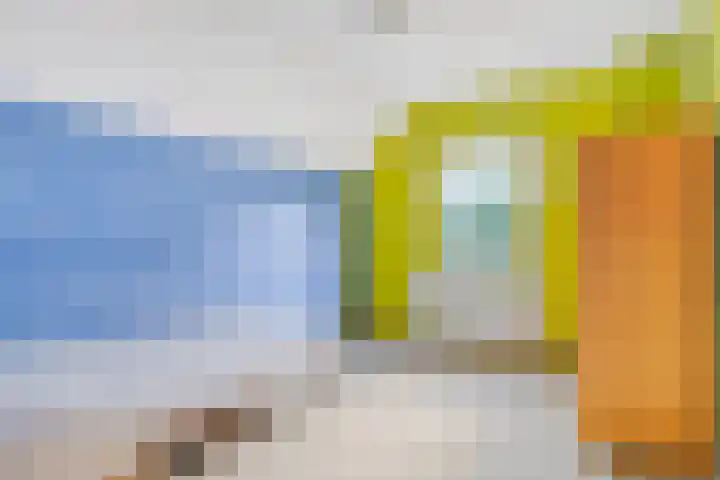 Dekkerstraat 5 Son en Breugel thumbnail 19
