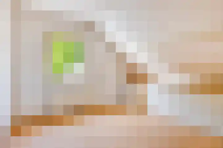 Dekkerstraat 5 Son en Breugel thumbnail 21