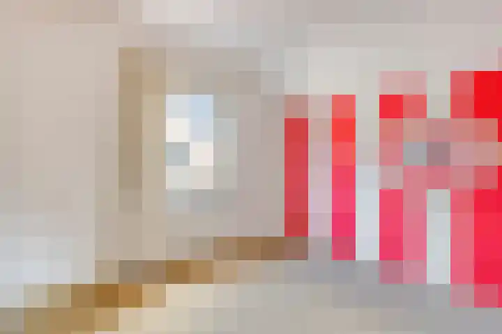 Dekkerstraat 5 Son en Breugel thumbnail 22