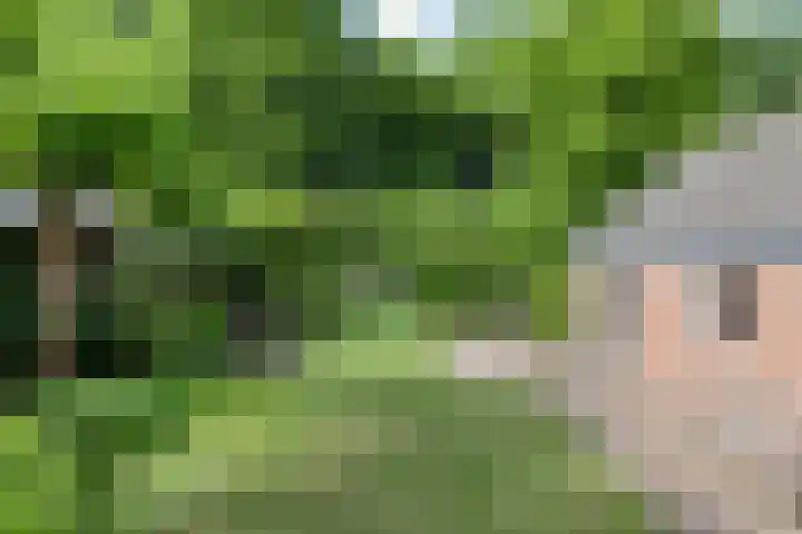 Dekkerstraat 5 Son en Breugel thumbnail 25