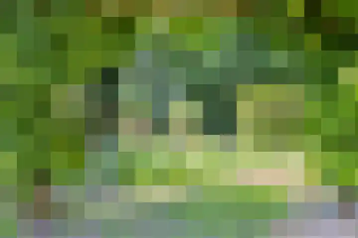 Dekkerstraat 5 Son en Breugel thumbnail 27