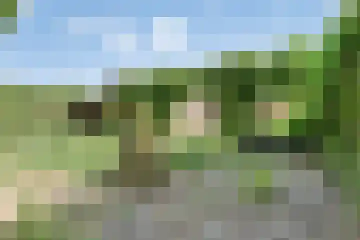 Dekkerstraat 5 Son en Breugel thumbnail 28