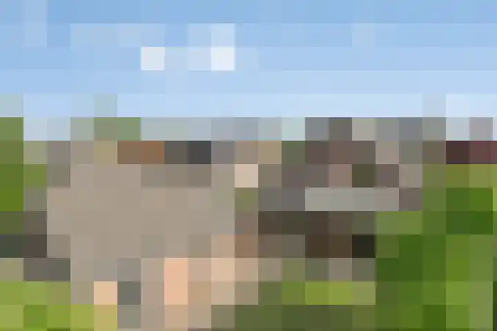 Dekkerstraat 5 Son en Breugel thumbnail 30