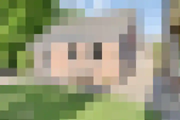 Dekkerstraat 5 Son en Breugel thumbnail 31