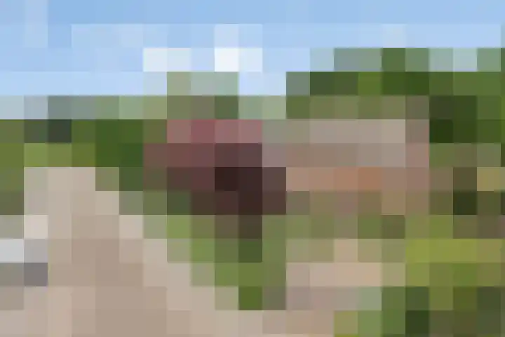 Dekkerstraat 5 Son en Breugel thumbnail 33