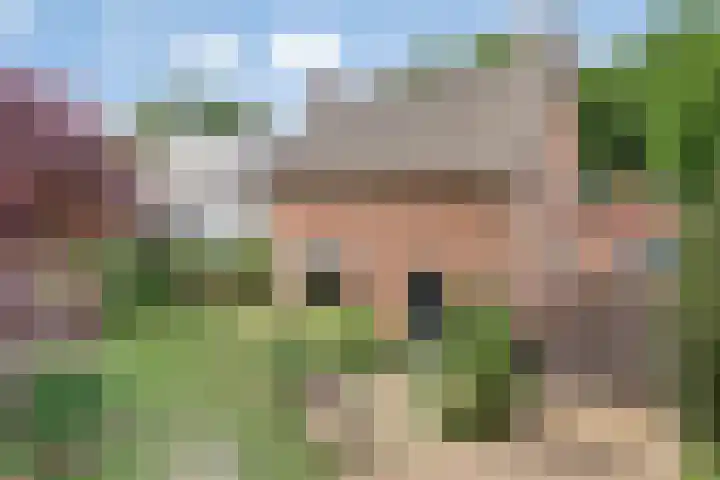 Dekkerstraat 5 Son en Breugel thumbnail 34