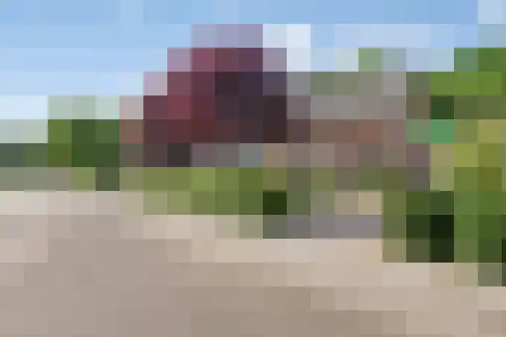 Dekkerstraat 5 Son en Breugel thumbnail 35