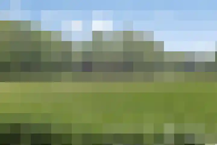 Dekkerstraat 5 Son en Breugel thumbnail 38